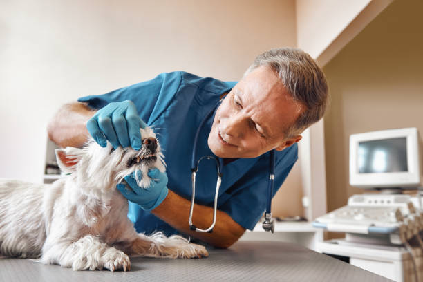 Best Pediatric Emergency Dentist in Fairfax, OK